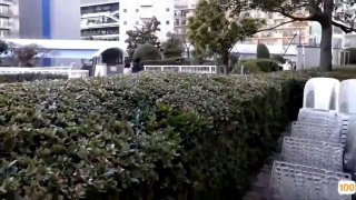 小翘臀等你_一月十一号